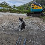 新しい監督さん登場。